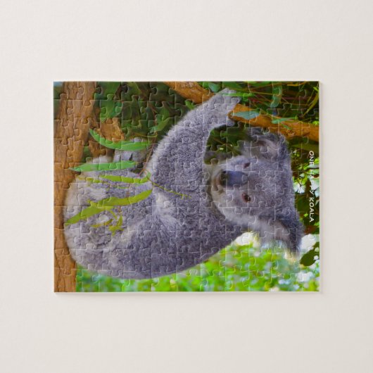 Koala Bears Puzzle (Horizontal)