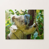Koala Bears. Puzzle (Horizontal)