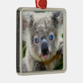 Koala Bears Silbernes Ornament (Rechts)