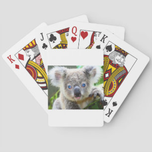 Koala Bears Spielkarten