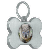 Koala Bears Tiermarke (Vorderseite links)