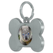 Koala Bears Tiermarke (Vorderseite rechts)