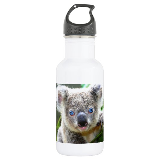 Koala Bears Trinkflasche (Vorderseite)