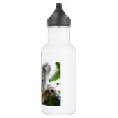 Koala Bears Trinkflasche (Rechts)
