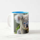 Koala Bears Zweifarbige Tasse (Vorderseite Links)