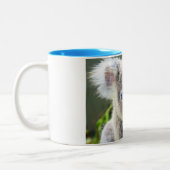 Koala Bears Zweifarbige Tasse (Links)