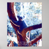 Koala bei Baumarten in Australien Poster (Vorne)