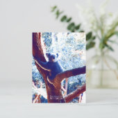 Koala bei Baumarten in Australien Postkarte (Stehend Vorderseite)