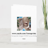 Koala Birthday Card Karte (Rückseite)