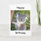 "KOALA BIRTHDAY GREETINGS" KARTE (Vorderseite)