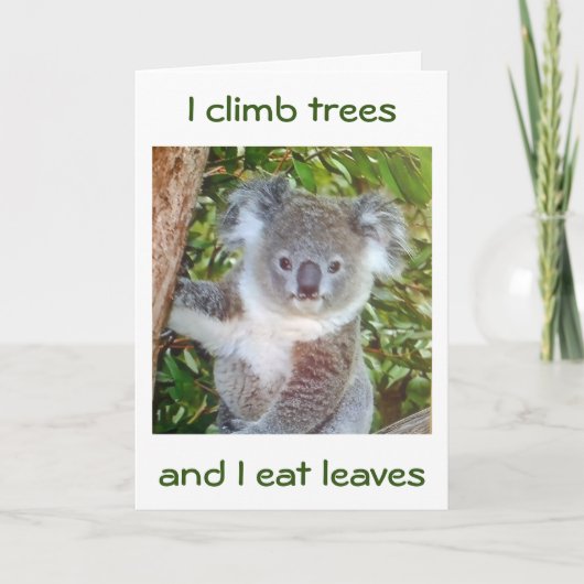 "KOALA BIRTHDAY GREETINGS" WIRD ER FÜR SIE KACHEN KARTE (Vorderseite)