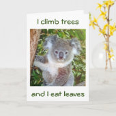 "KOALA BIRTHDAY GREETINGS" WIRD ER FÜR SIE KACHEN KARTE (Gelbe Blume)