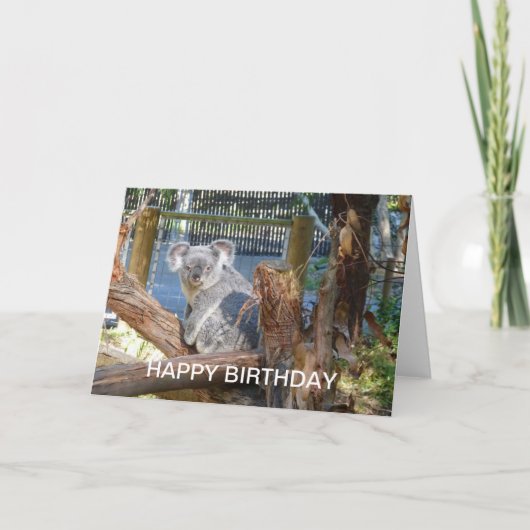 Koala Birthday Karte (Vorderseite)