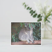 Koala-Blätter Postkarte (Stehend Vorderseite)