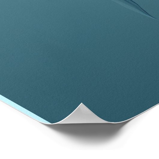 Koala Break Out Print Poster Artwork Mural (Ecke)