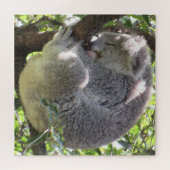 Koala-Bündel Puzzle (Horizontal)
