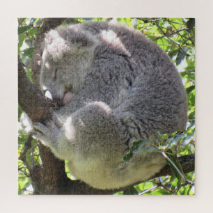 Koala-Bündel Puzzle
