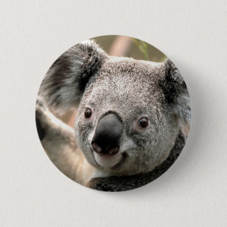 Koala Button
