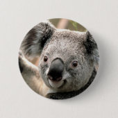 Koala Button (Vorderseite)