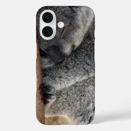 Koala Case-Mate iPhone Hülle (Rückseite)