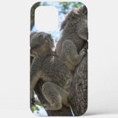 Koala Case-Mate iPhone Hülle (Rückseite)