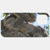 Koala Case-Mate iPhone Hülle (Rückseite (Horizontal))