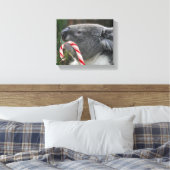 Koala Christmas Candy Cane Leinwanddruck (Insitu (Schlafzimmer))