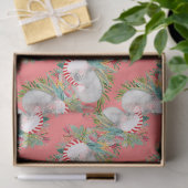 Koala Christmas Pink Seidenpapier (Geschenk)
