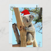 Koala Christmas Postcard Postkarte (Vorne/Hinten)