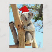 Koala Christmas Postcard Postkarte (Vorderseite)