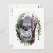 Koala Cuddle Postcard Postkarte (Vorne/Hinten)