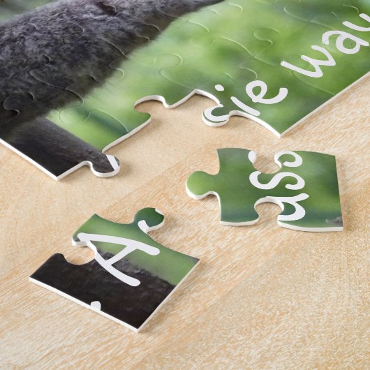 Koala - das Puzzle der australischen Weise (Seite)