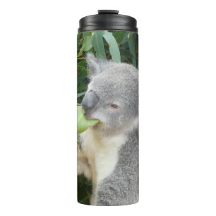 Koala, der ein Gummiblatt trinkt Flasche