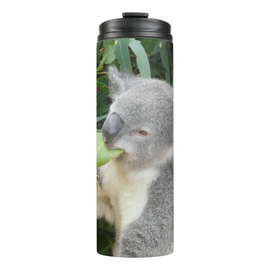 Koala, der ein Gummiblatt trinkt Flasche (Vorderseite)