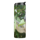 Koala, der ein Gummiblatt trinkt Flasche (Nach links gedreht)
