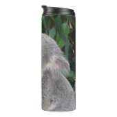 Koala, der ein Gummiblatt trinkt Flasche (Nach rechts gedreht)