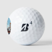 Koala Driving Golfball (Logo)