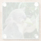 Koala Eating Gum Leaf Glasuntersetzer (Rückseite)