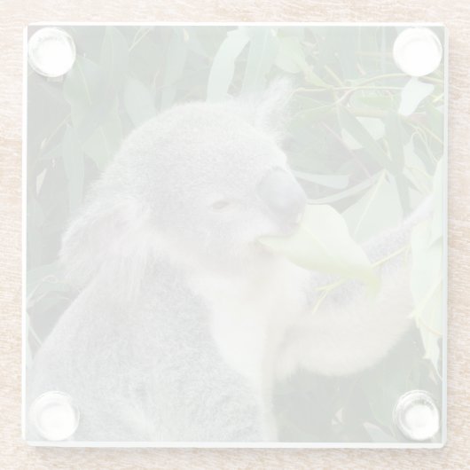 Koala Eating Gum Leaf Glasuntersetzer (Rückseite)