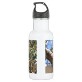Koala Edelstahlflasche (Rückseite)