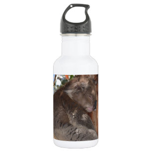 Koala Edelstahlflasche