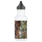 Koala Edelstahlflasche (Rechts)