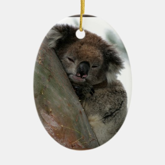 Koala - Energie-Naturschützer Extraordinaire! Keramik Ornament (Vorne)