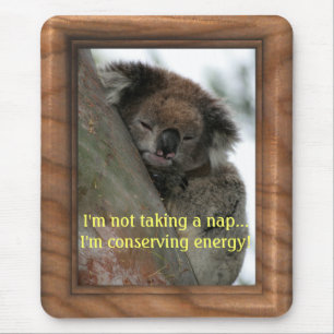 Koala - Energieschützer Außerordentlicher! Mousepad