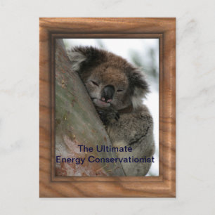 Koala - Energieschützer Außerordentlicher! Postkarte
