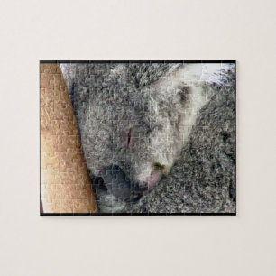 Koala-Erholung Puzzle