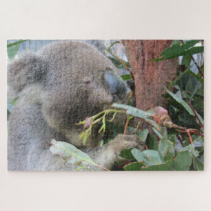 Koala-Essen Puzzle