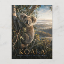 Koala-Eukalyptuswald TIERE
