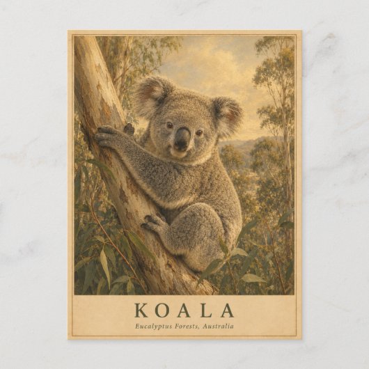 Koala Eukalyptuswald VINTAGE Postkarte (Vorderseite)