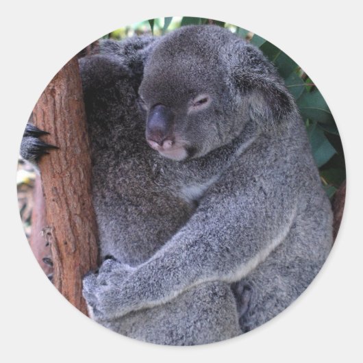 Koala-Familien-Aufkleber Runder Aufkleber (Vorderseite)